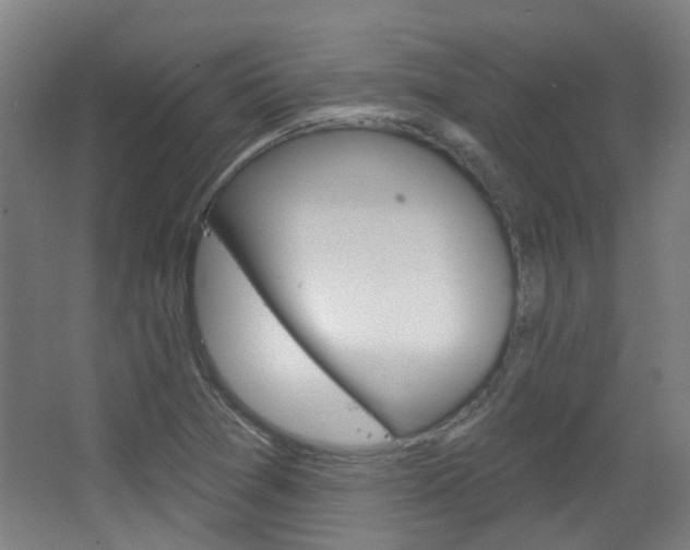 X0000063481361200601201014