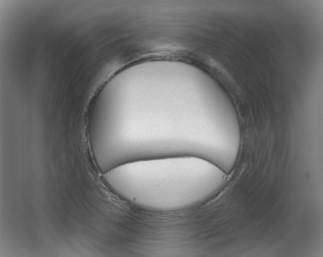 X0000063481362200601201014