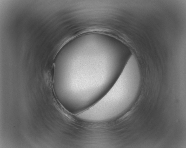 X0000063481369200601201014
