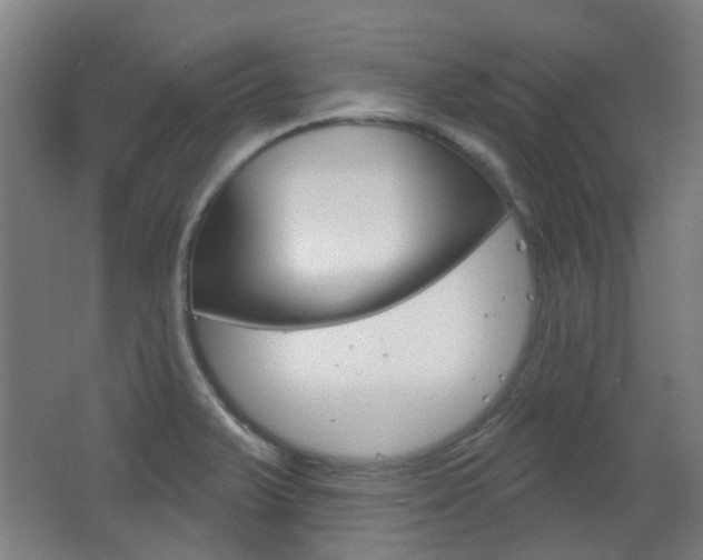 X0000063481375200601201014