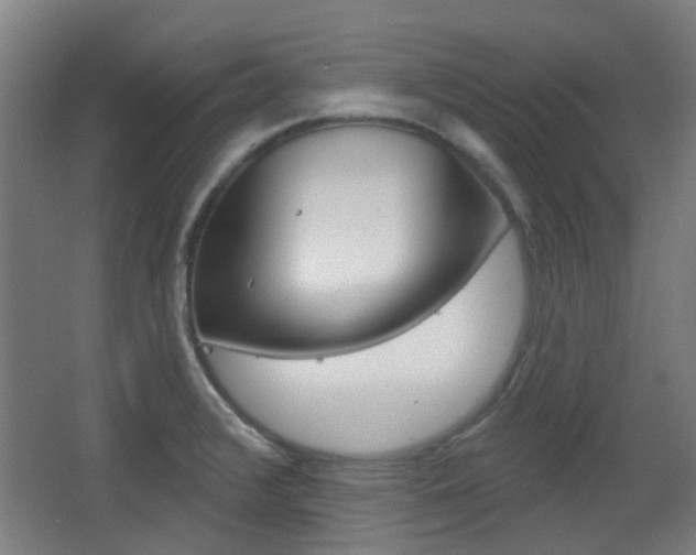 X0000063481376200601201014