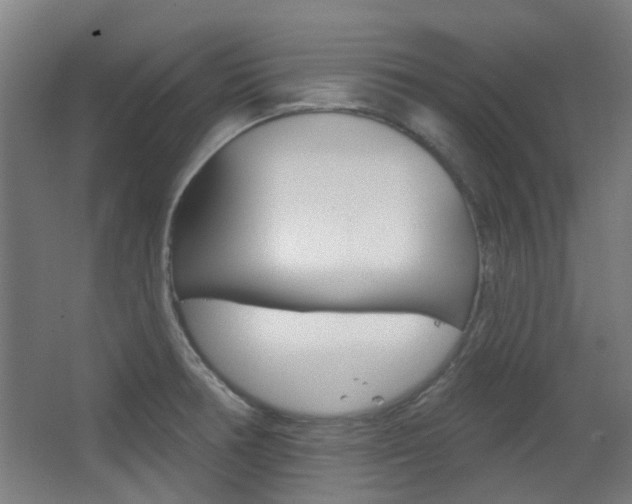 X0000063481378200601201013