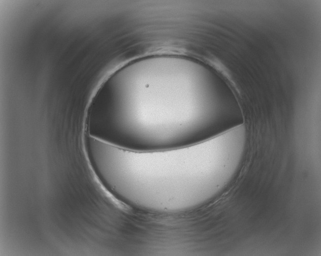 X0000063481379200601201013