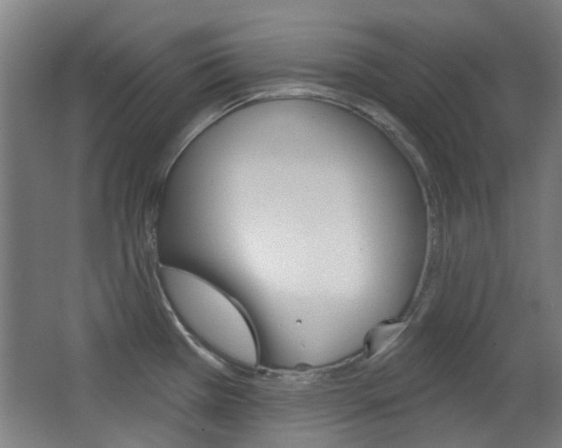 X0000063481385200601201013