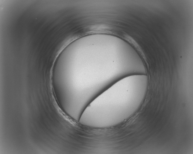 X0000063481386200601201013