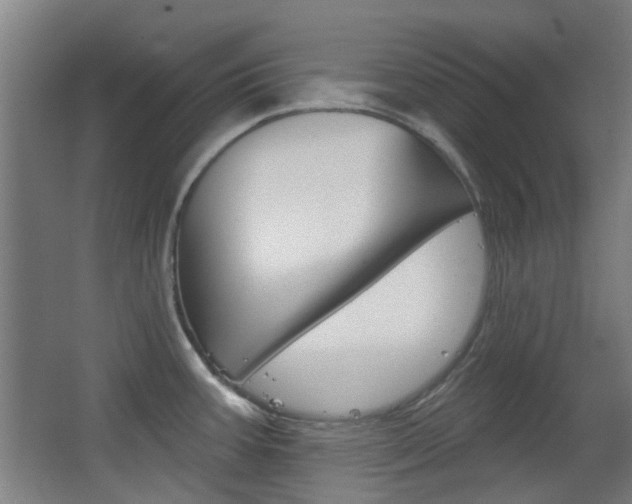 X0000063481387200601201013