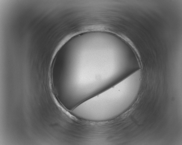 X0000063481389200601201013