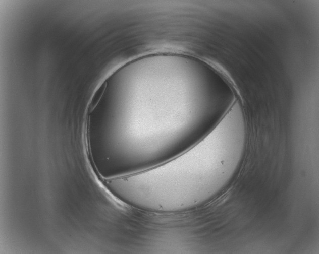 X0000063481391200601201013