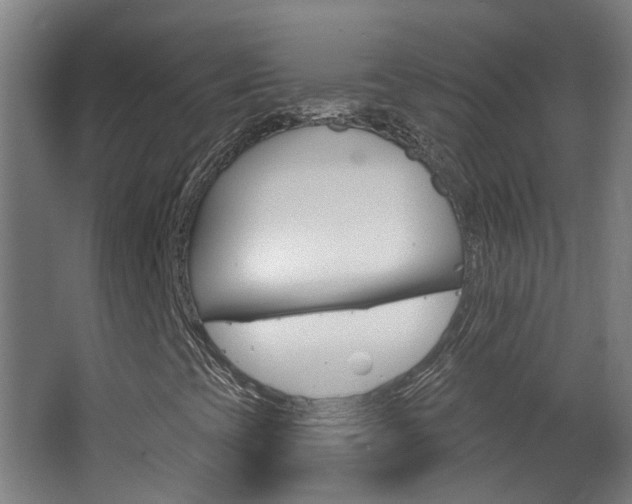 X0000063481393200601201012