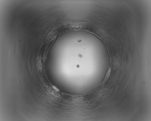 X0000063481394200601201012