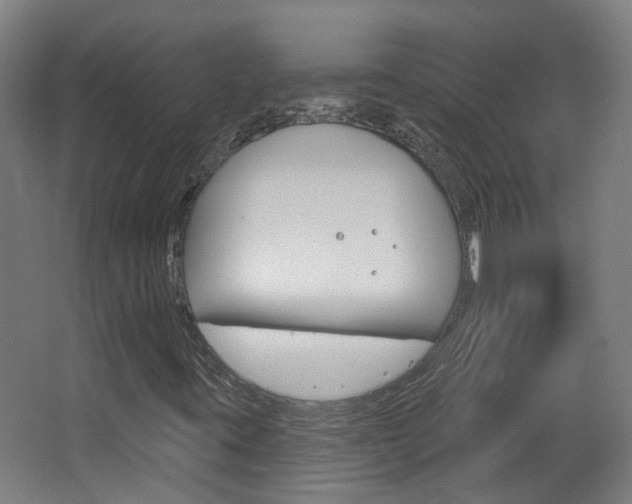 X0000063481395200601201012