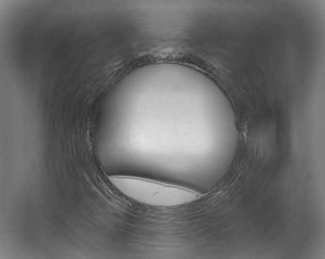 X0000063481396200601201013