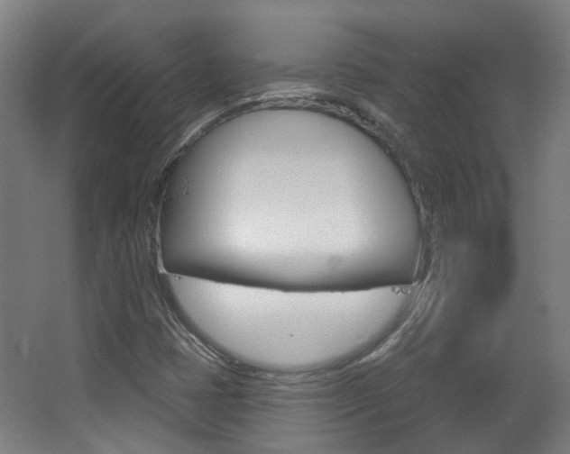 X0000063481401200601201013