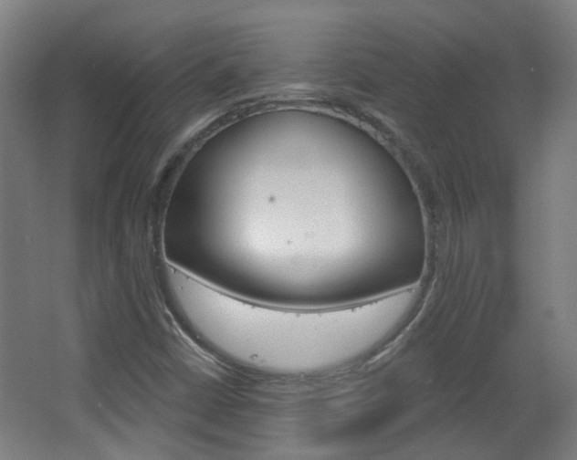 X0000063481402200601201013