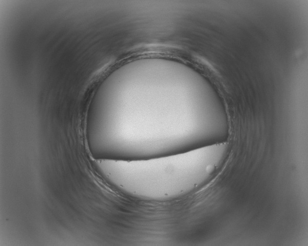 X0000063481403200601201013