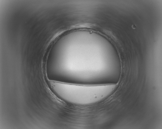X0000063481404200601201013