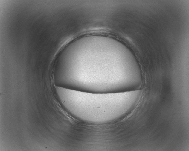 X0000063481405200601201013
