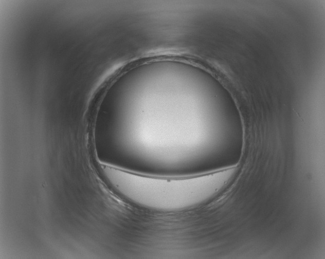 X0000063481406200601201013