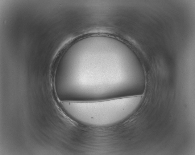 X0000063481408200601201013
