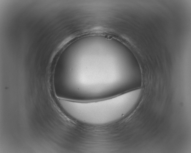 X0000063481410200601201013