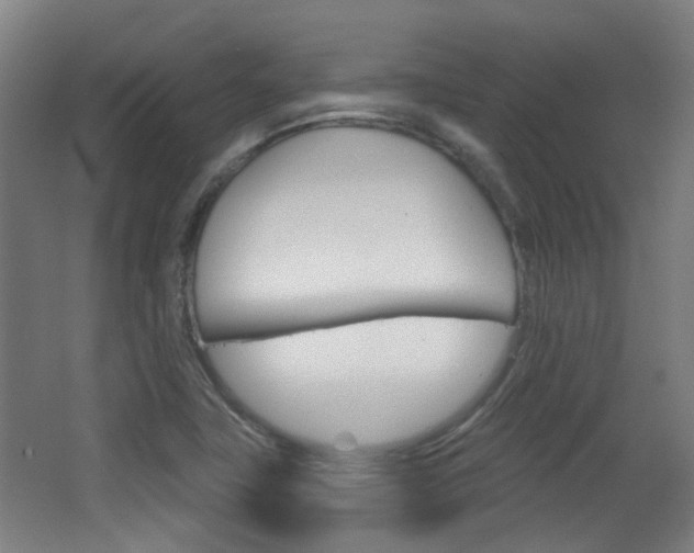 X0000063481411200601201013