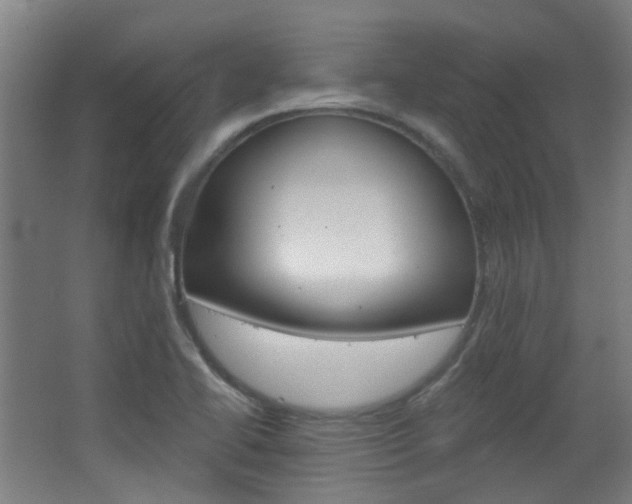 X0000063481414200601201013
