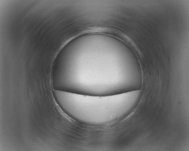 X0000063481417200601201013