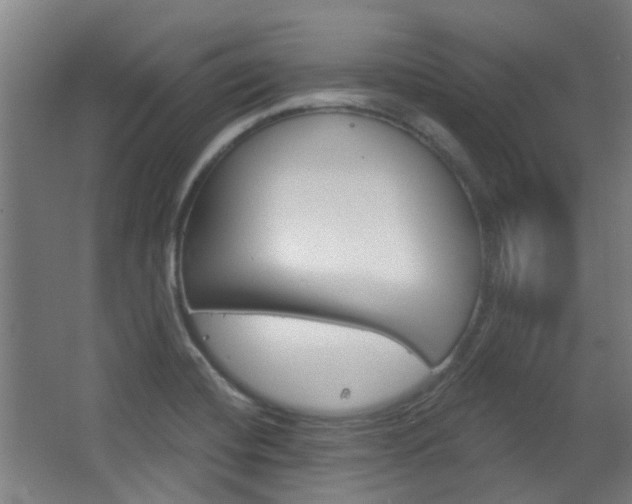 X0000063481420200601201013
