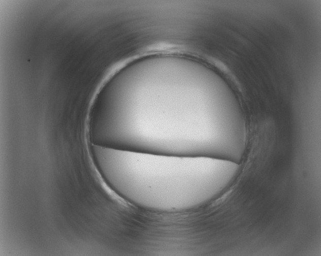 X0000063481421200601201013