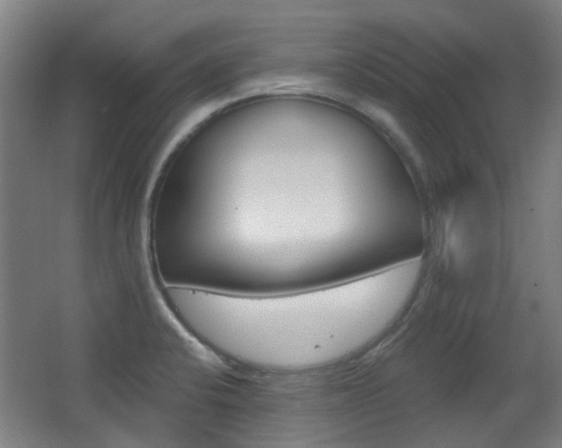 X0000063481424200601201013