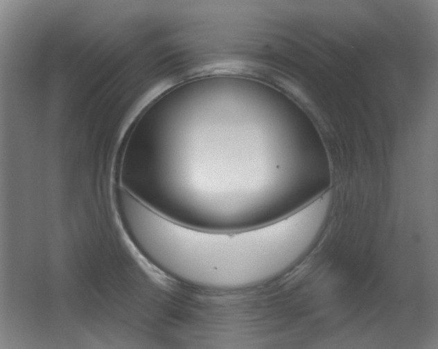 X0000063481426200601201013