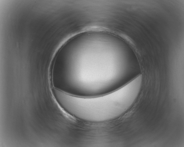 X0000063481430200601201013