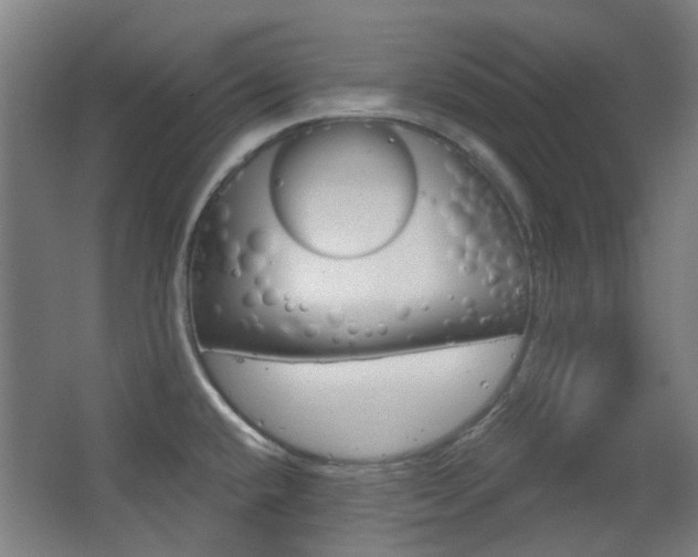 X0000063481432200601201013