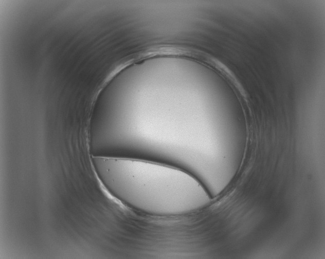 X0000063481433200601201013