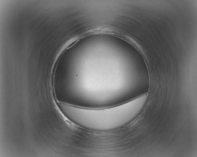 X0000063481434200601201013