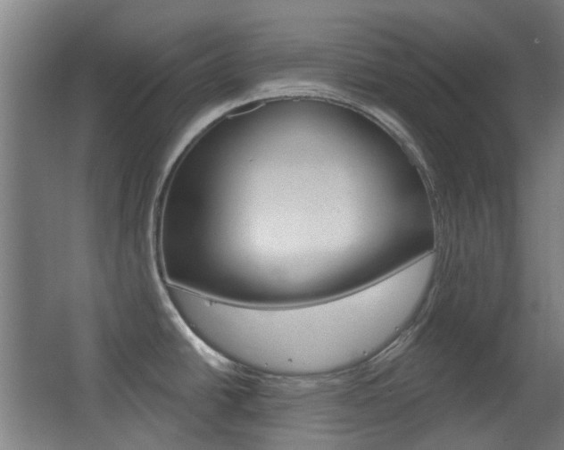X0000063481438200601201013