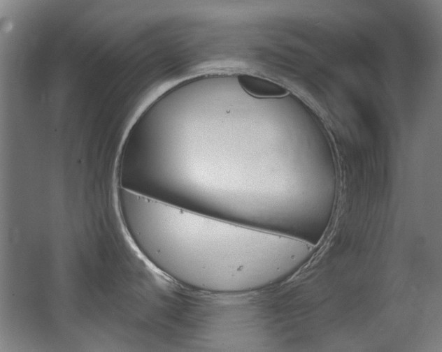 X0000063481440200601201013