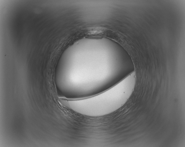 X0000063481441200601201012