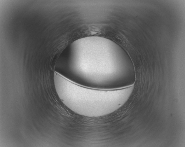 X0000063481442200601201012