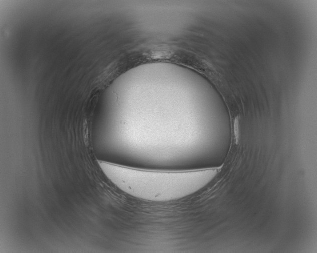 X0000063481443200601201012