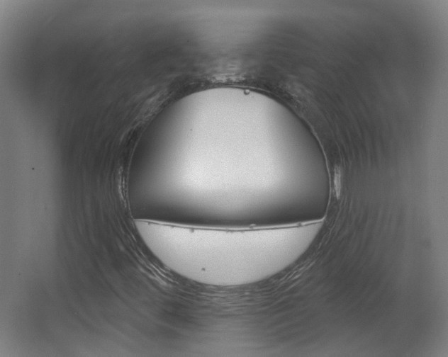 X0000063481444200601201012