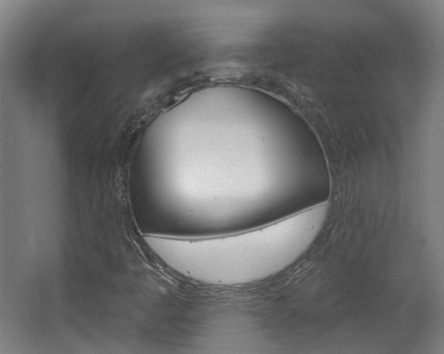 X0000063481445200601201012