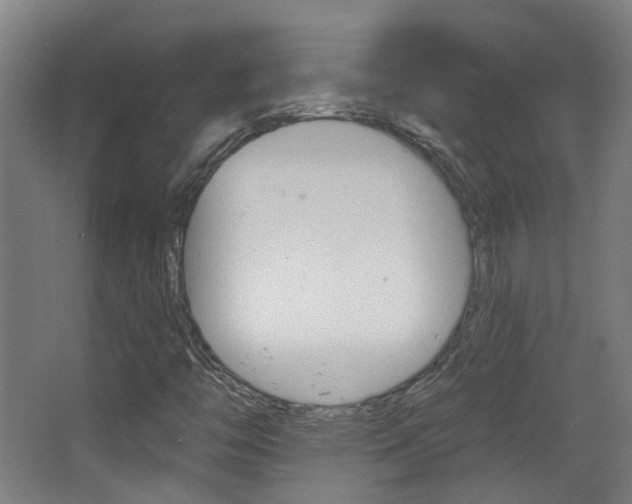 X0000063481446200601201012