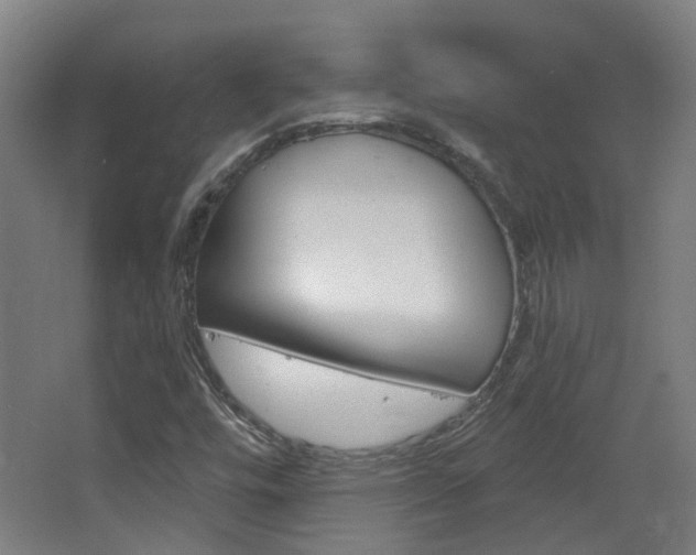 X0000063481448200601201012