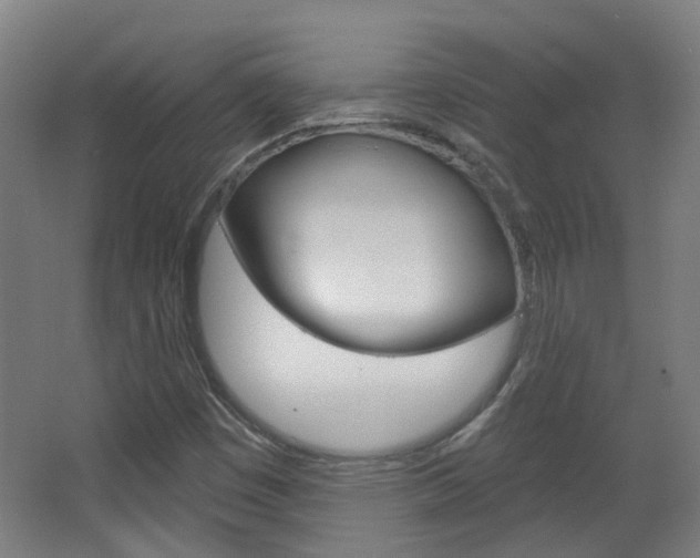 X0000063481449200601201012