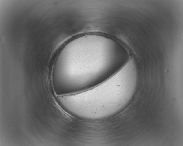 X0000063481452200601201012