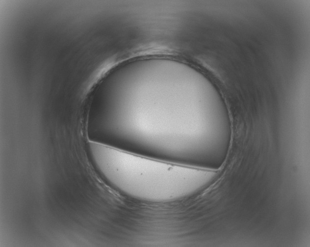 X0000063481455200601201012