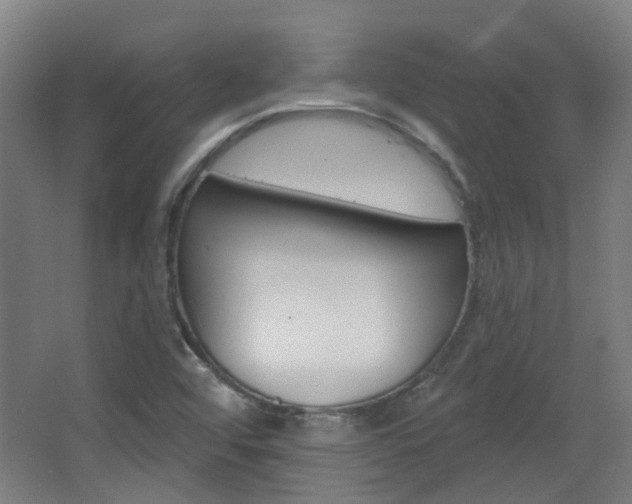 X0000063481456200601201012