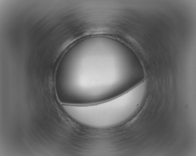 X0000063481457200601201012