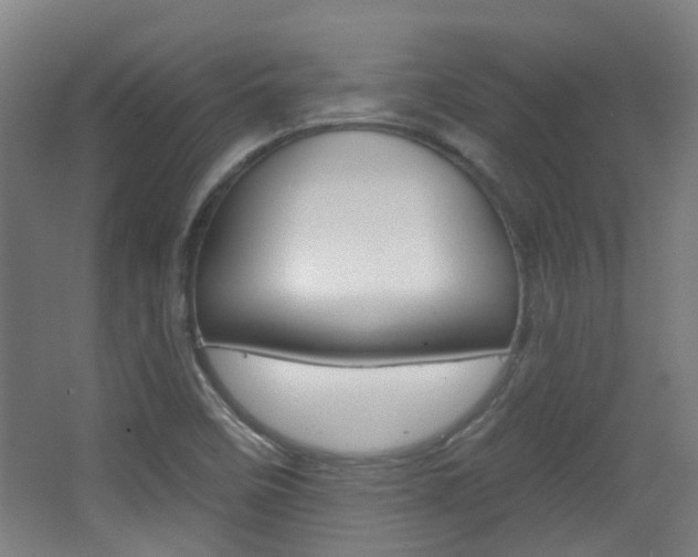 X0000063481458200601201012